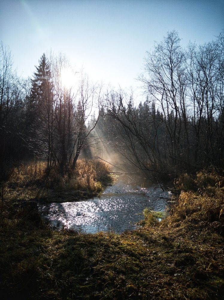 Осеннее утро