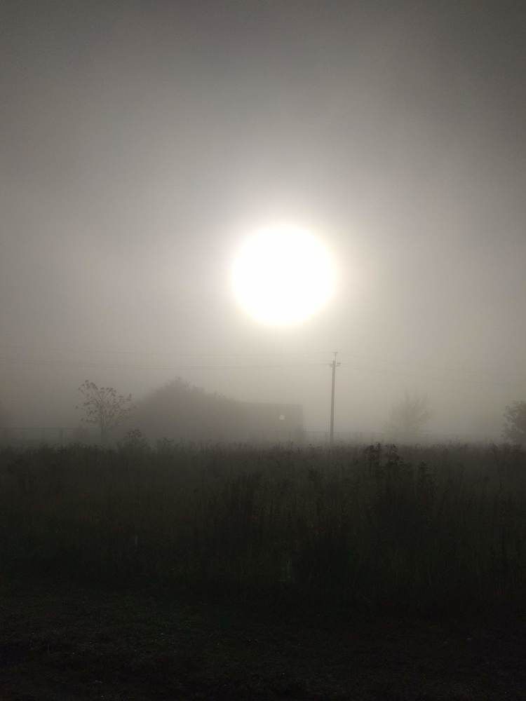 Photograph by Наталия Покровская