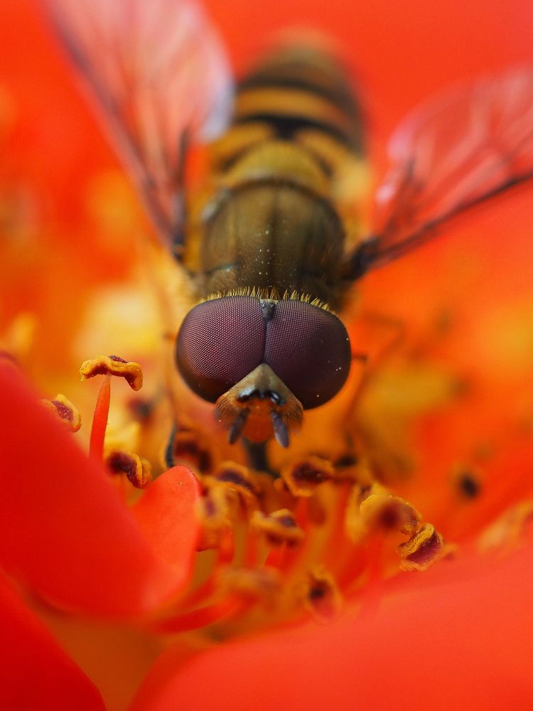 Photograph by Юлия Поршнева