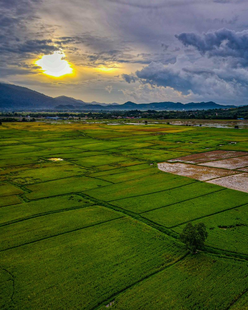 Photograph by Sivaraj Nithiananthan