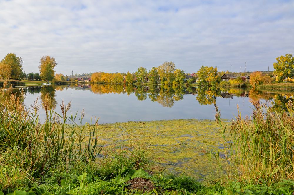 Фотография автора Юрий Фефилов