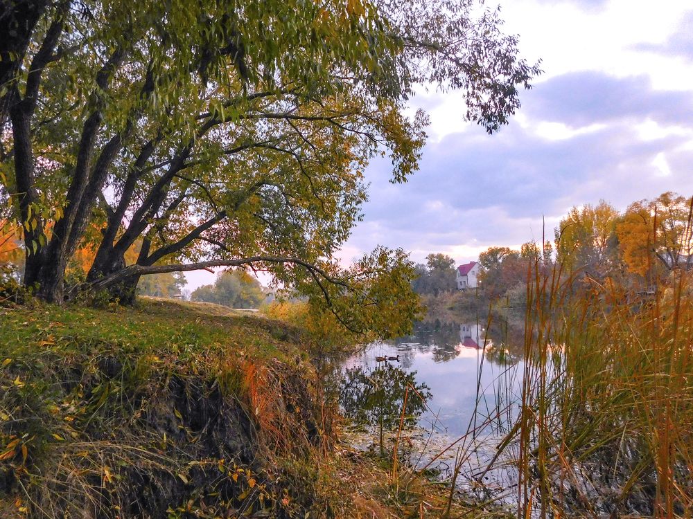 Photograph by Андрей Семенченко