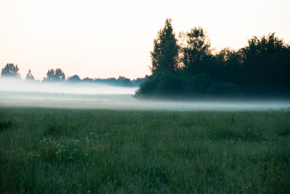 Photograph by Андрей Трякин