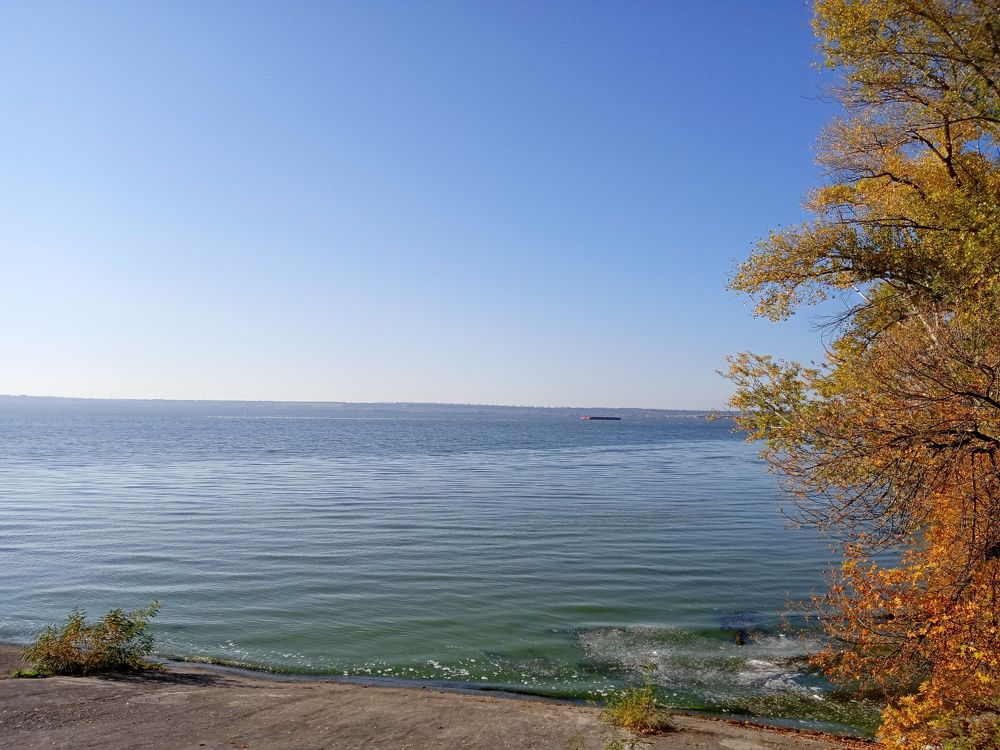 Photo #6716409