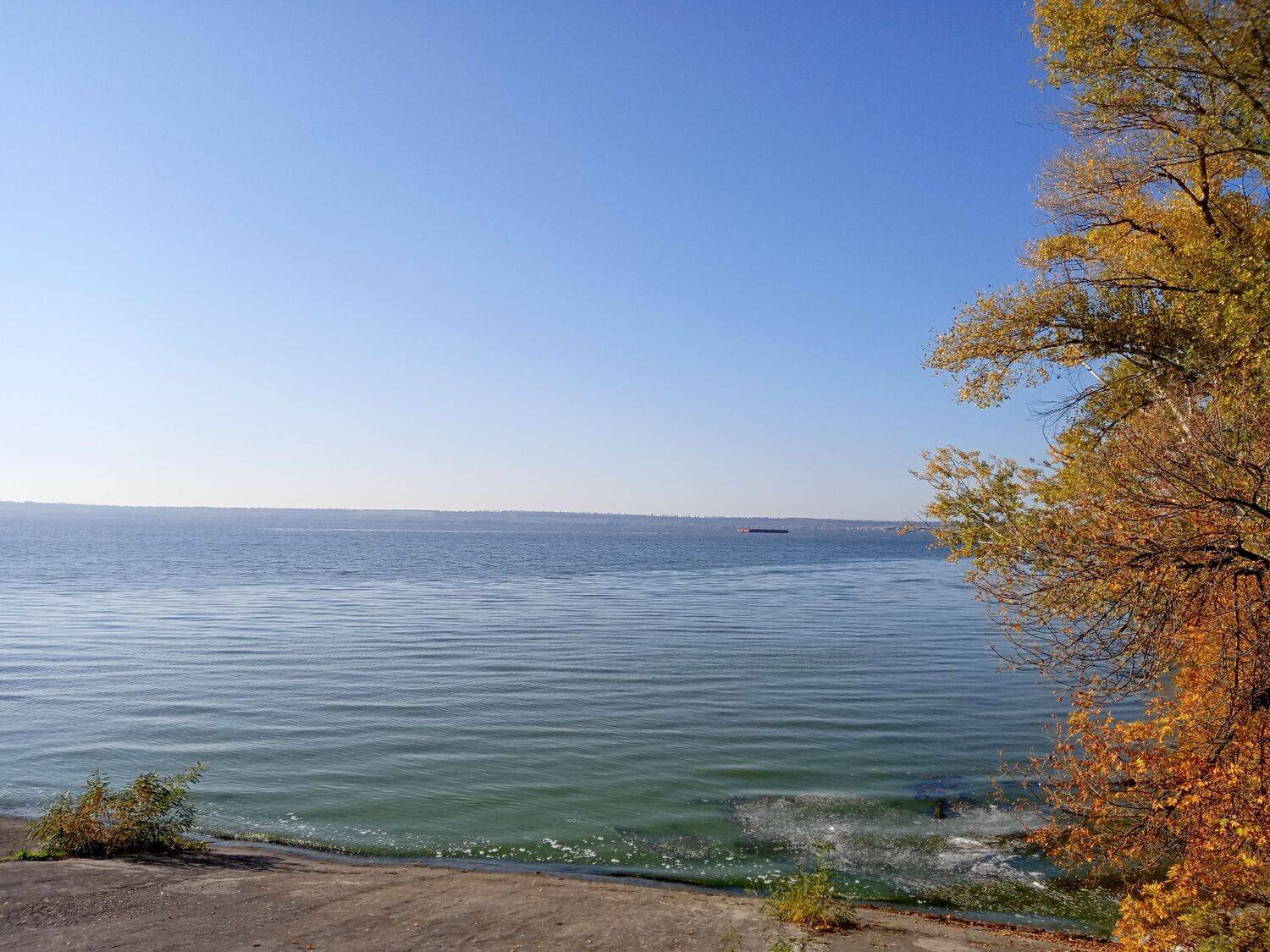 Photo #6716409