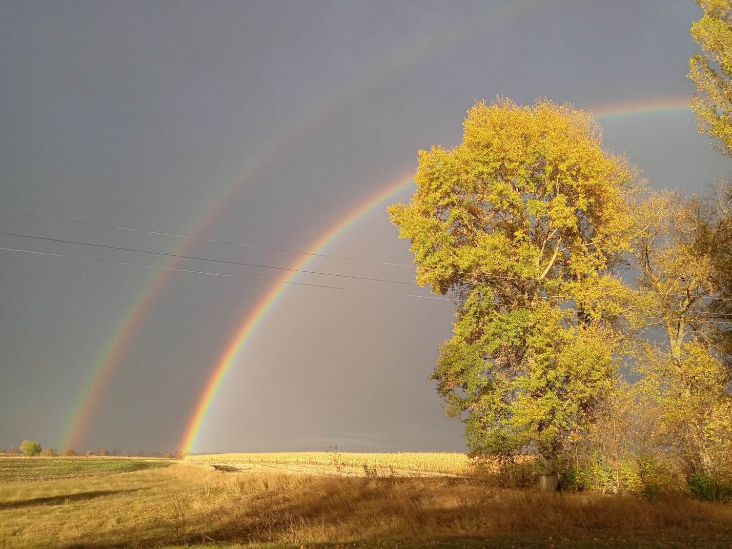 Photo #6716410