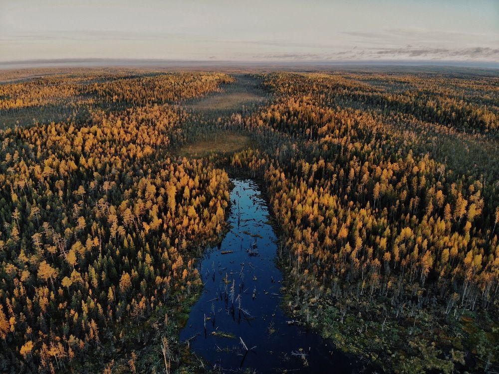 Photograph by Валентин Видякин