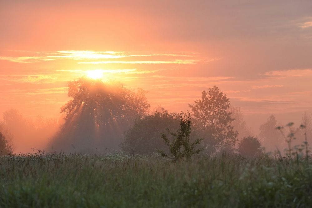 Пробуждение