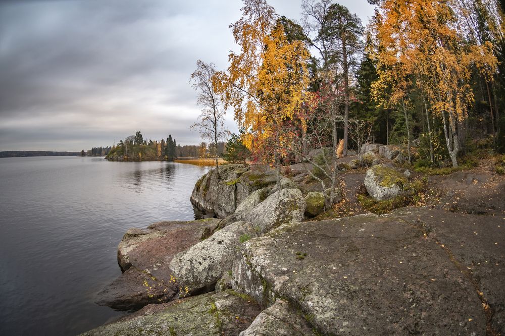 Осенний Монрепо