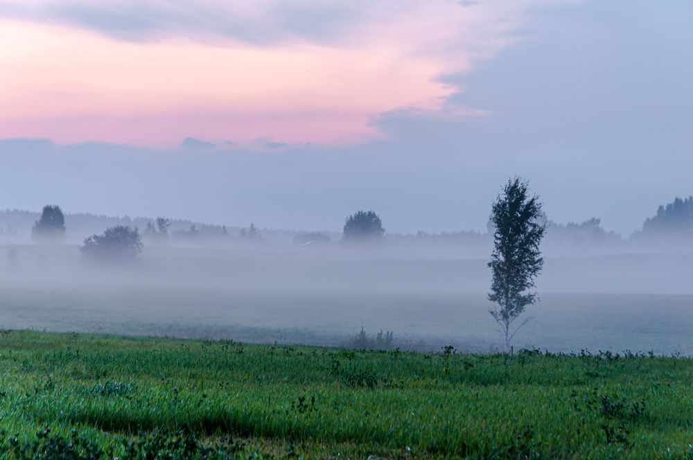 Photograph by Елизавета Белоусова
