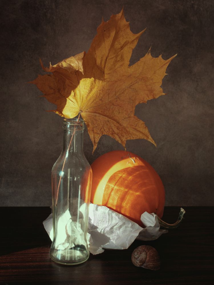 Photograph by Ольга Савостина