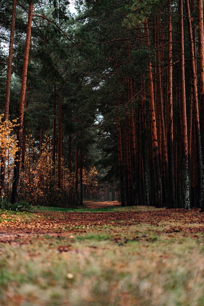 Photograph by Georgy Ivanov