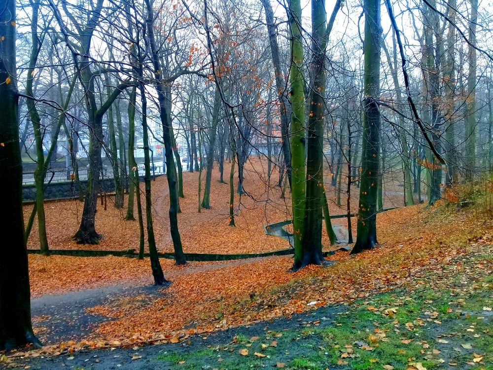 Осень в Калининграде.