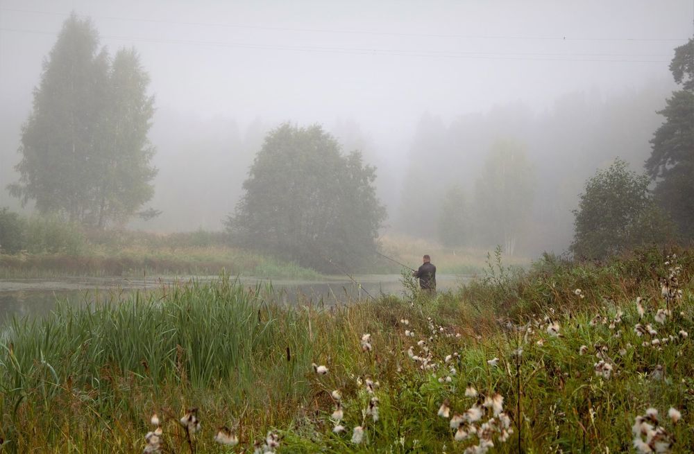 Photograph by Леонид Маркеев