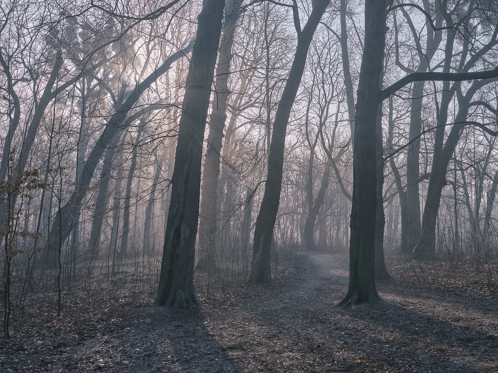 Photograph by Леонид Якутин