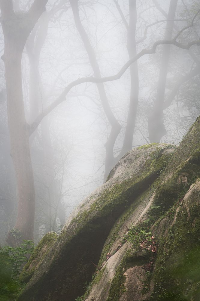 Photograph by Елена Лебедева