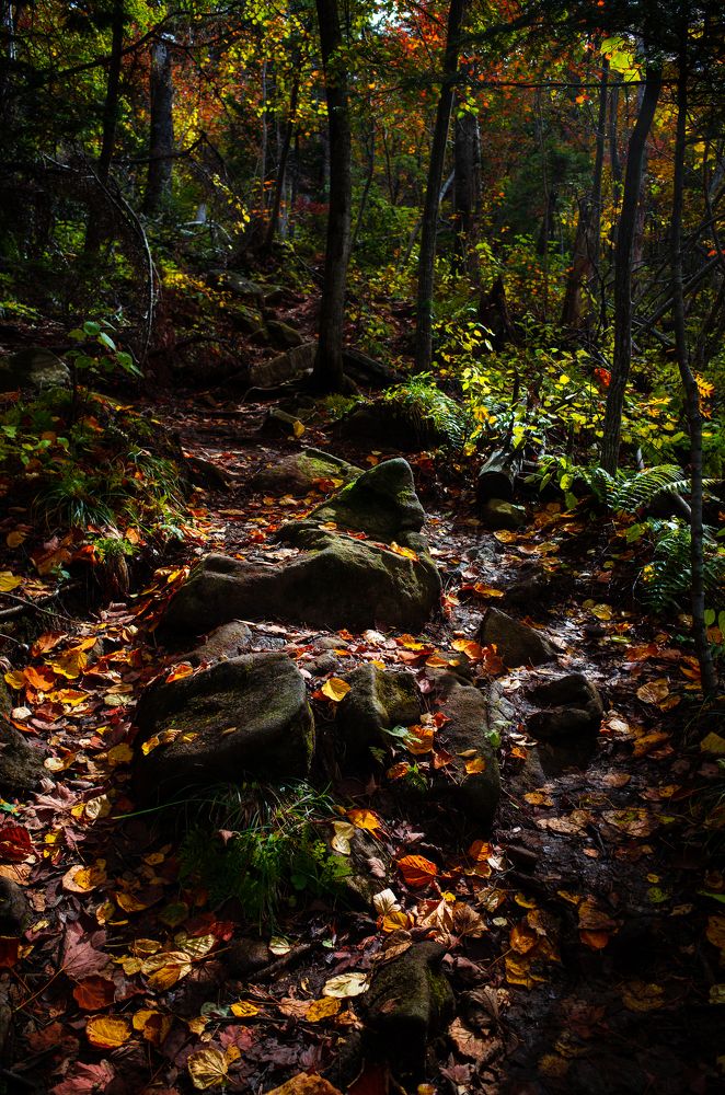 Скальная тропа.