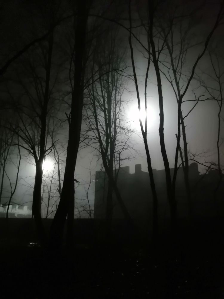 Photograph by Владимир Титов