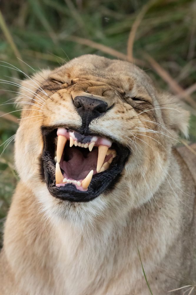 Photograph by Raquel Barao