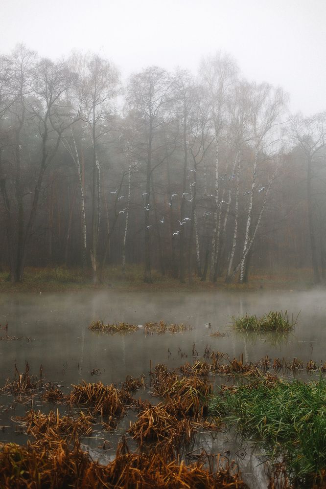 Photograph by Алена Кузнецова