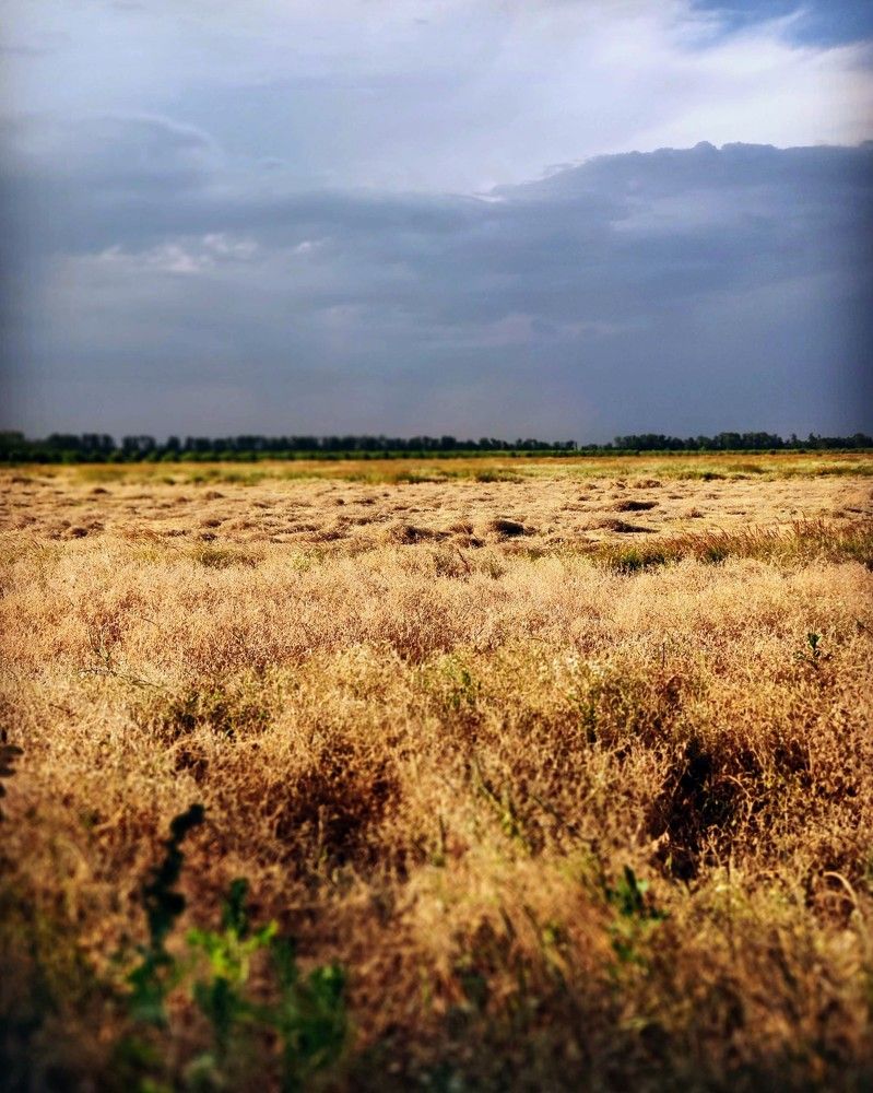 Photograph by Андрей Маргосов