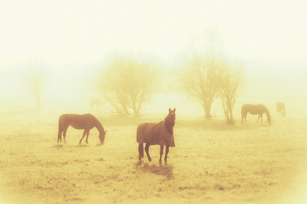 Photograph by андрей гусев