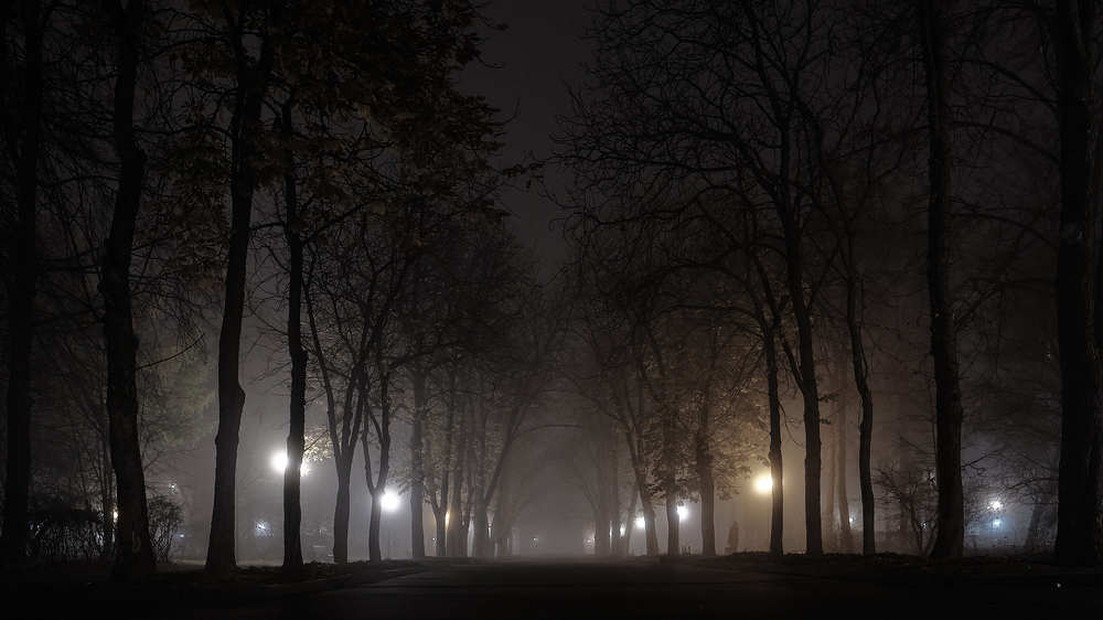 Photograph by Пётр Дедковский