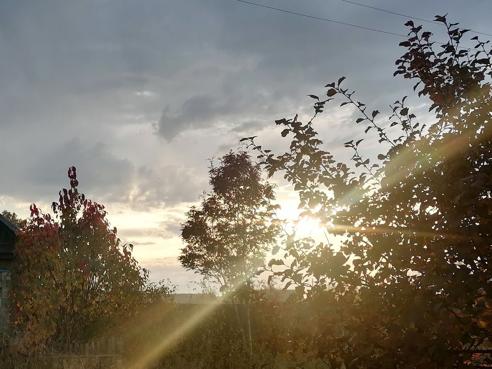 Photograph by Клещенок Степан