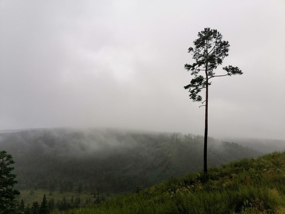 Photograph by Светлана