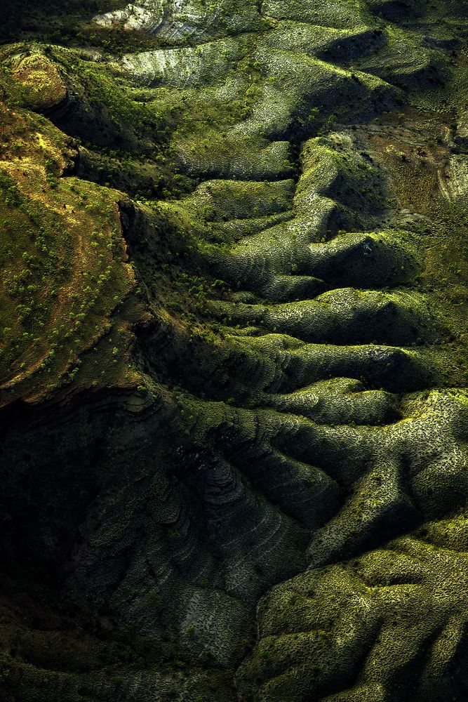 Photograph by Graham Earnshaw