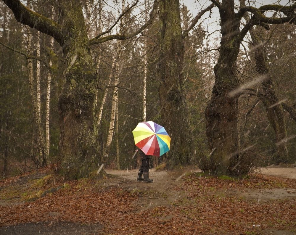 Photograph by Марина Безенкина