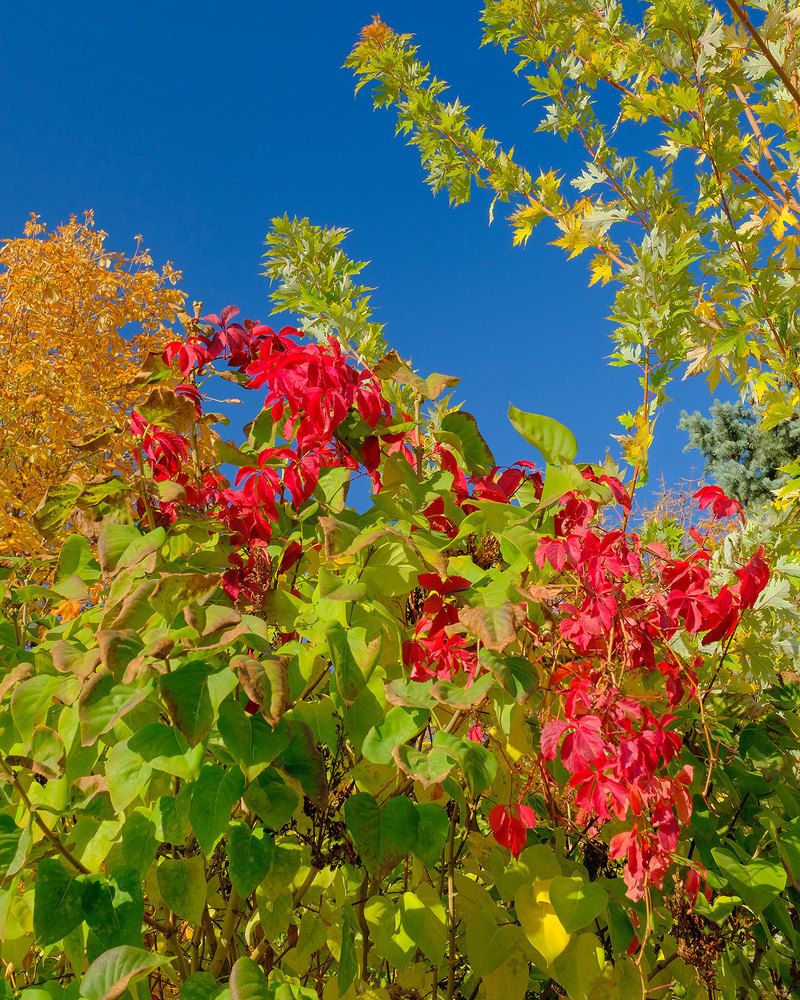 Photograph by Vasiliy Kuvakin