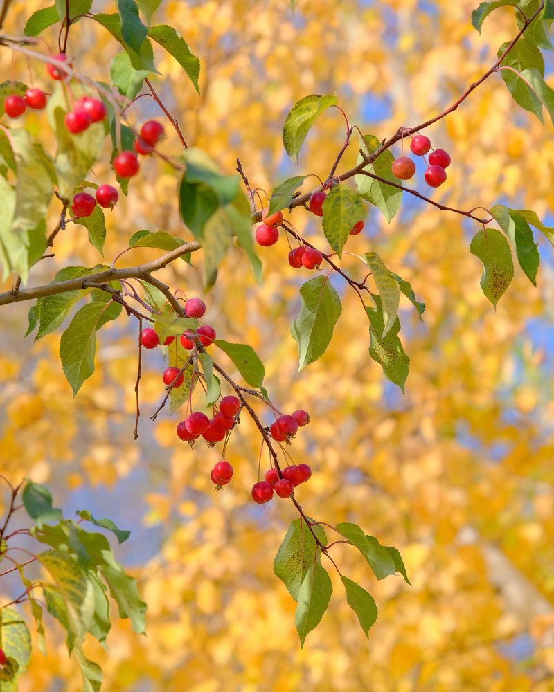 Photograph by Vasiliy Kuvakin