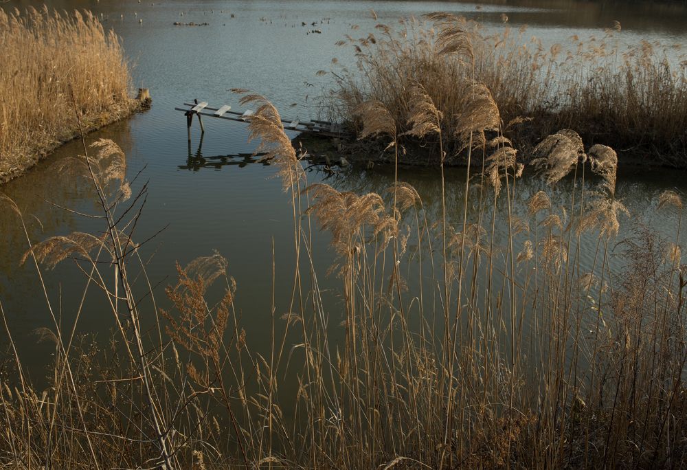 Photograph by Наталья Цуканова