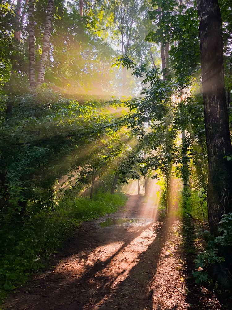 Photograph by Ирина Назарова