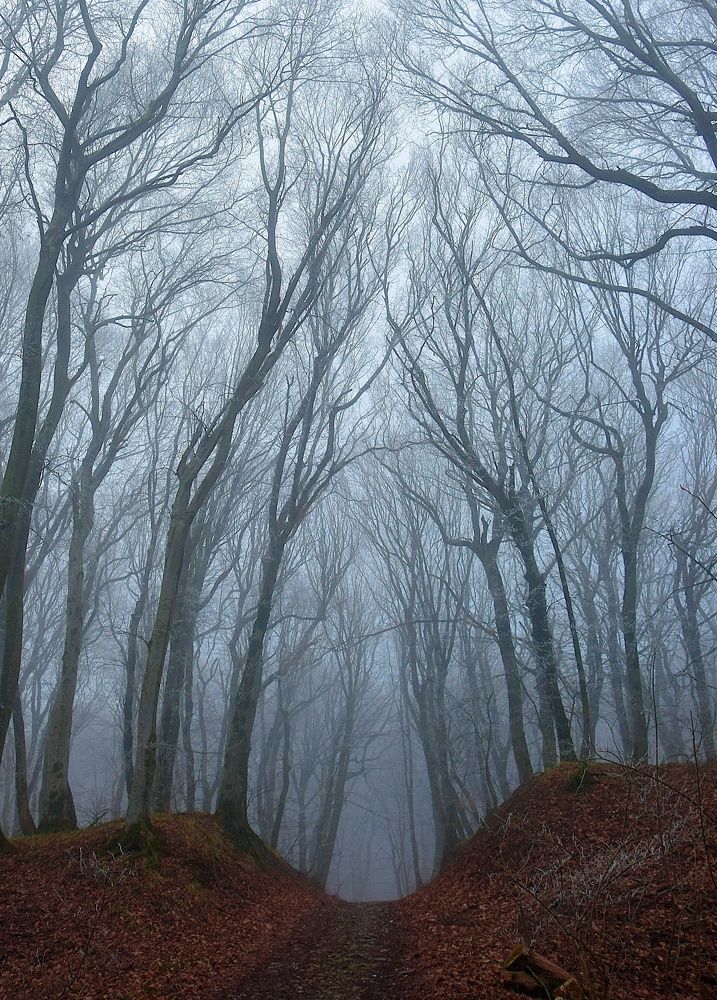 Photograph by Margo Margo