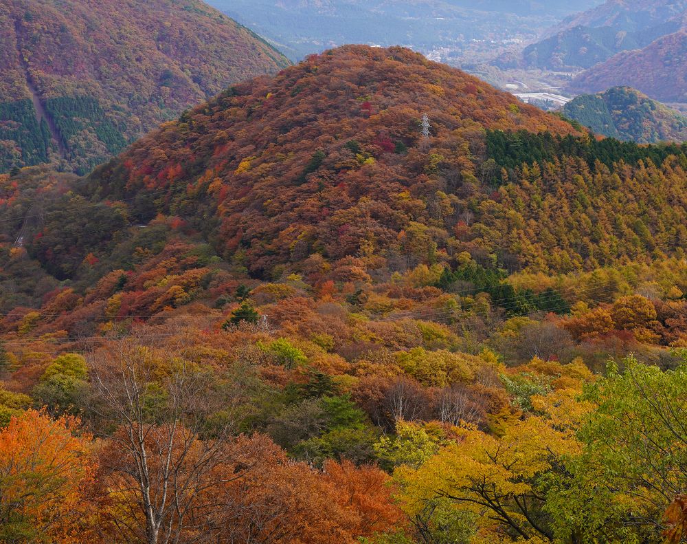 Photograph by Onishi Evgeniya