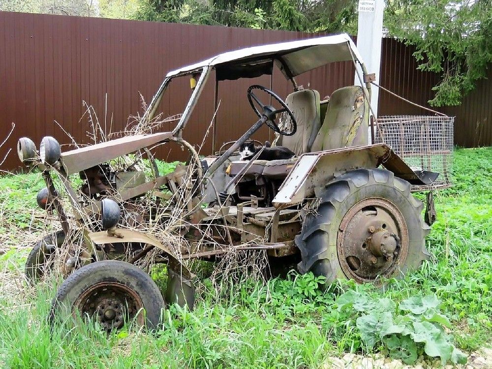 Photograph by Валерия