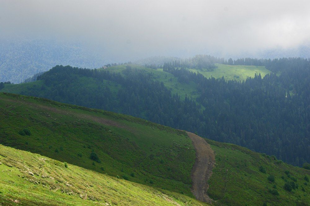 Photograph by Любовь Козлова