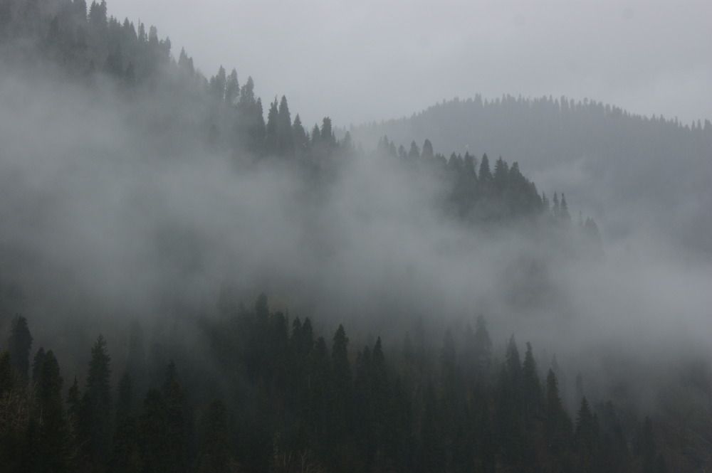 Photograph by Любовь Козлова