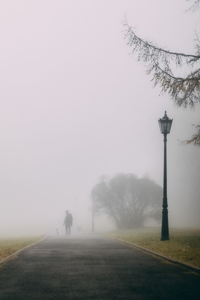 Photograph by Зоя Ципельштейн