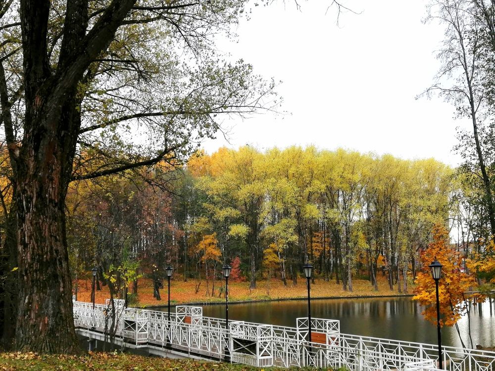 Photograph by Елена Лепешкина