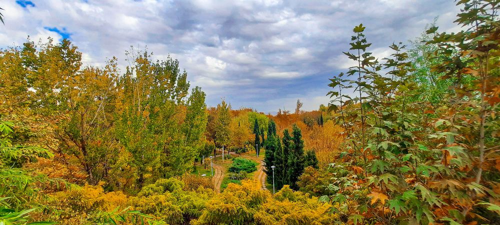 Photograph by صدرا