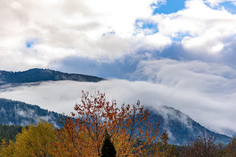 Photograph by KFIR HANUNOV