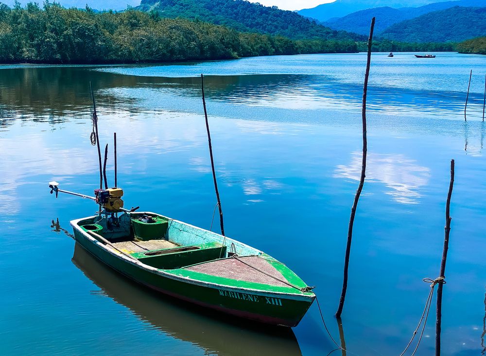 Фотография автора Regina Sant Anna