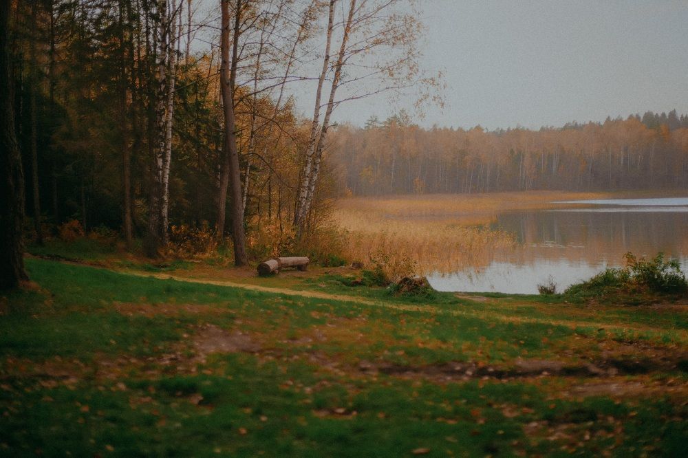 Photo #6717101
