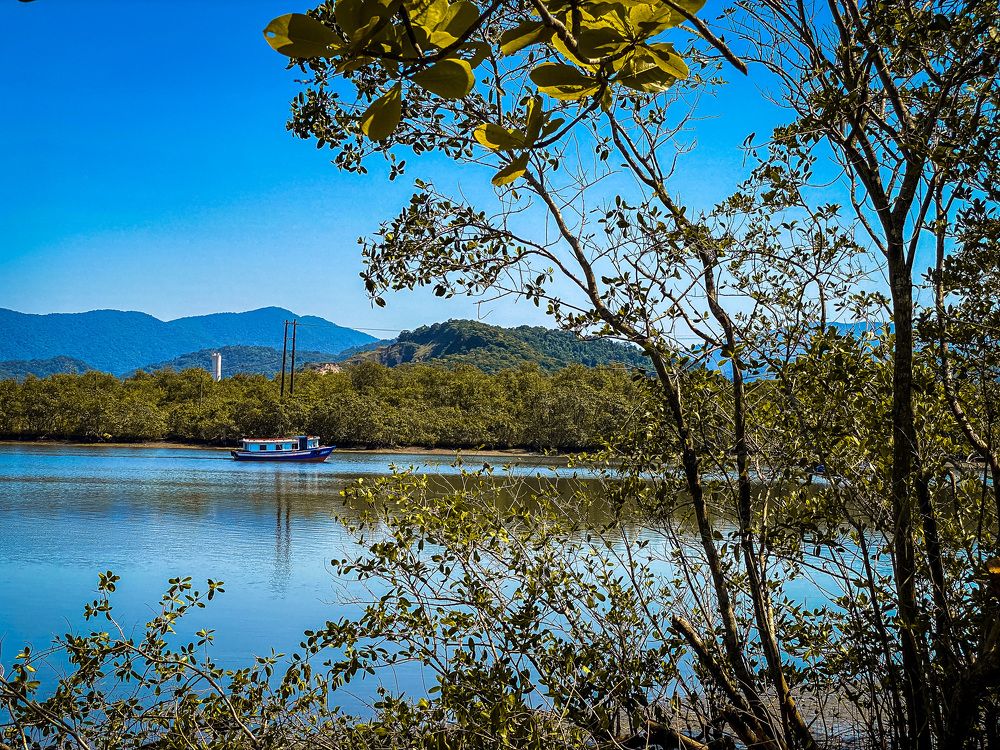 Фотография автора Regina Sant Anna