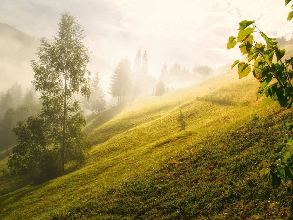 Photograph by Andrii Didushko