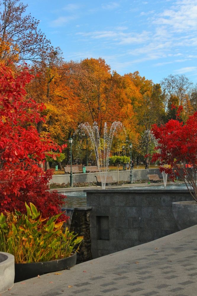 Photograph by Евгения Уманец