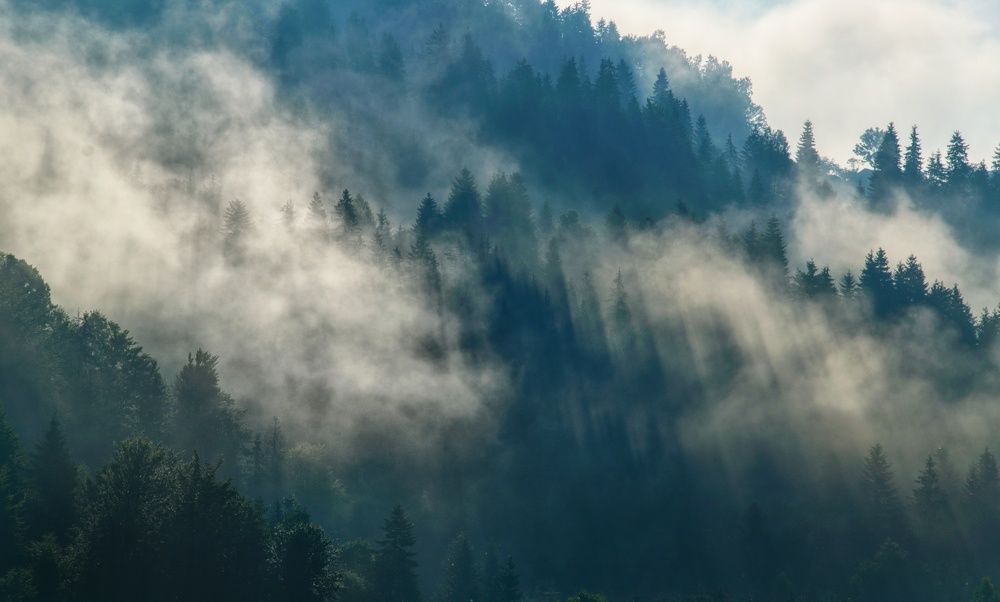 Photograph by Andrii Didushko